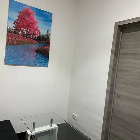 Luxurious Apartament